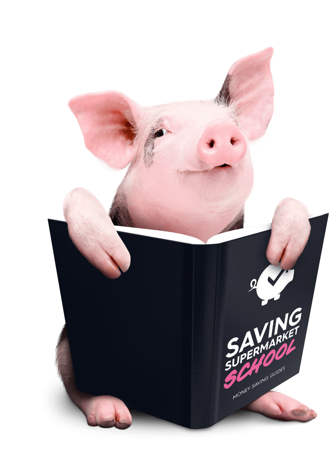 Pig Guide Book 2 full domain names