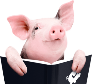 Pig book 1 savingsuperstore
